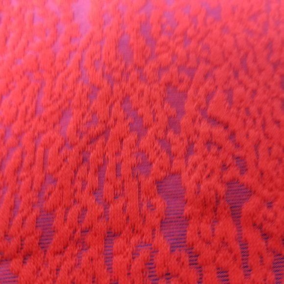 NWT Lularoe Cassie Stretch Skirt - Picture 3 of 9